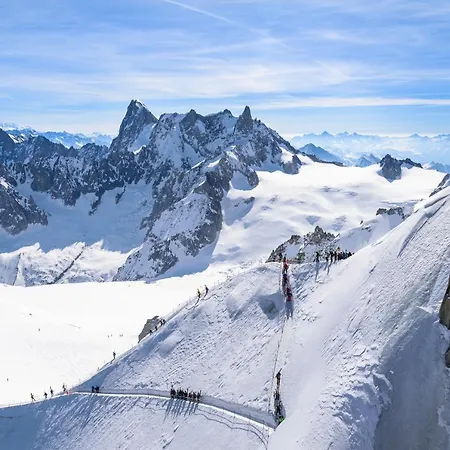 Grand Roc - Campanules 101 Happy Chamonix